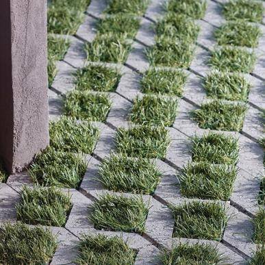 Turfstone